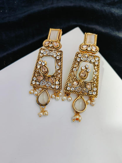 The Pretty Earings